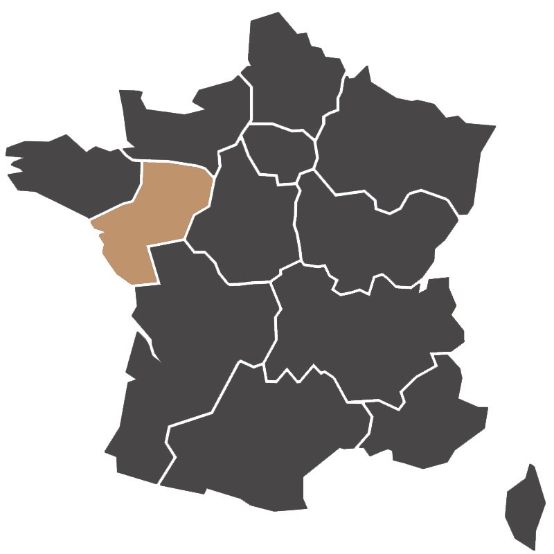 Fichier notaires Pays de la Loire